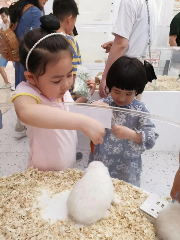 天元幼微课程 | 嗨，小兔子