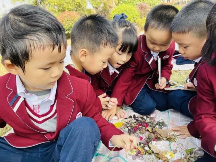 我与秋天有个约会——记天元公学幼儿园寻找秋天社会体验活动