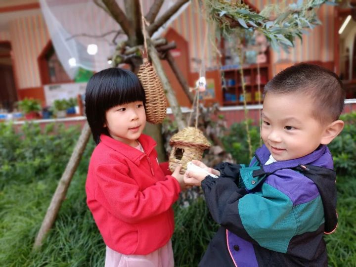 爱鸟始于心，护鸟始于行——天元公学幼儿园开展爱鸟周系列活动