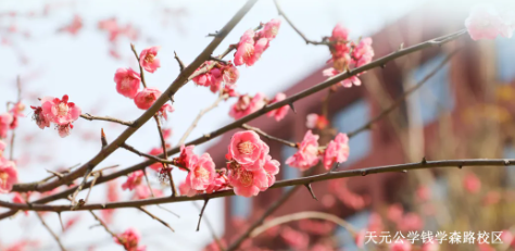 春晖润桃李，芳华映初心——2023学年天元公学音乐部在各大赛事中斩获佳绩