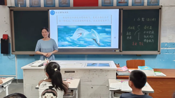 涓涓细流，汇聚浙西——天元公学小学部教师张慧娟赴淳安支教